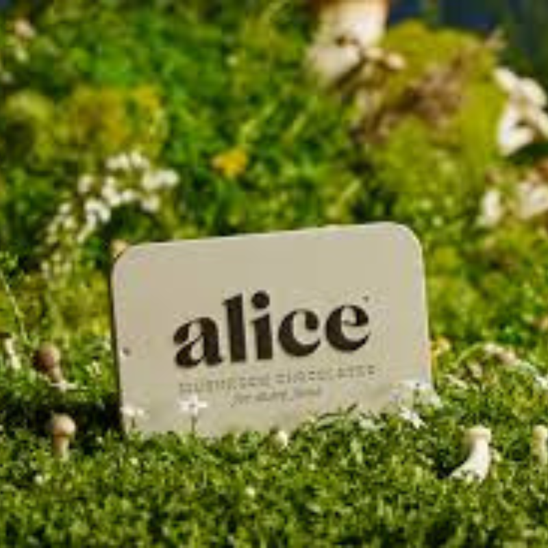 Alice Mushroom Chocolates Focus & Energy